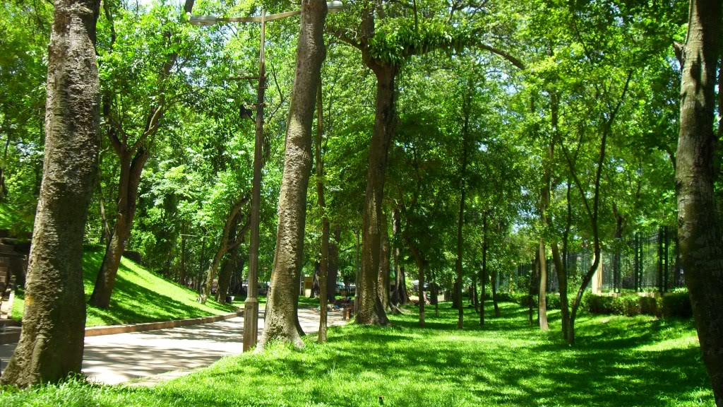 Công viên Bách Thảo Hà Nội
